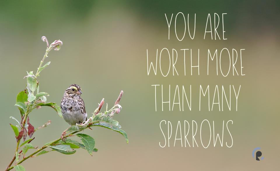 You Are Worth More Than Many Sparrows