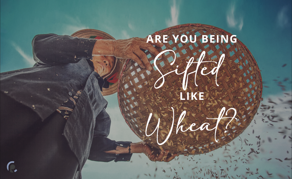 Are you being sifted like wheat?