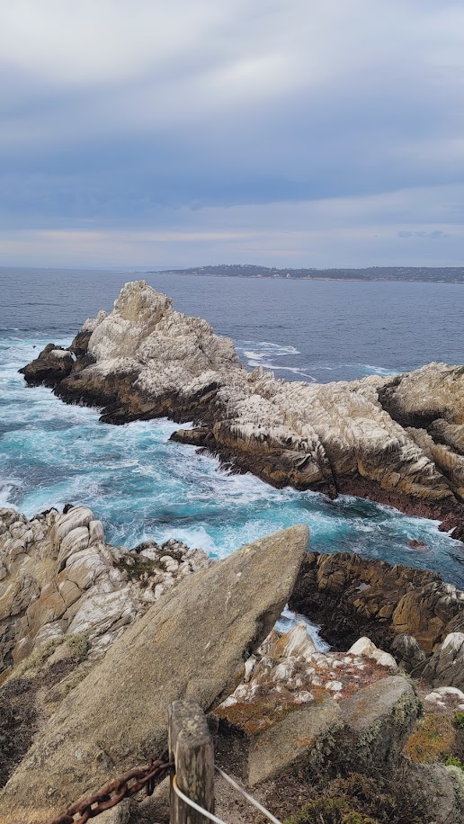 Views and vistas of Point Lobos National Preserve