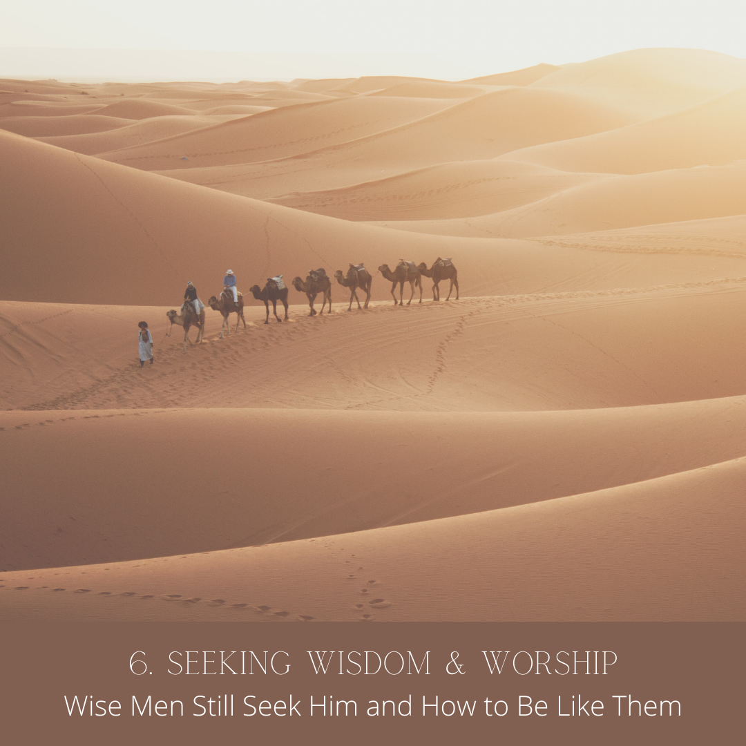 Seeking Wisdom & Worship