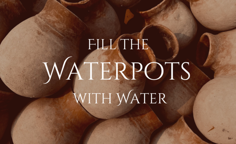 Fill the waterpots with water