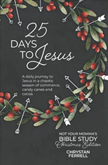25 Days to Jesus: A daily journey to Jesus in a chaotic season of commerce, candy canes, and cocoa