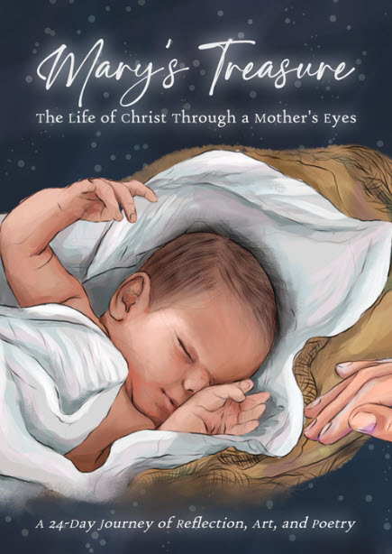 Mary's Treasure: The Life of Christ Through a Mother's Eyes