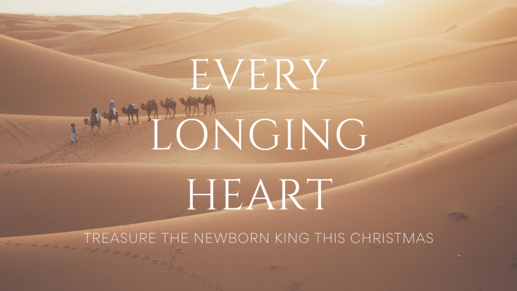 Every Longing Heart: Treasure the Newborn King this Christmas by Cara Ray
