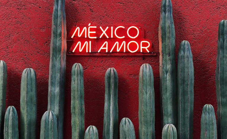 Mexico Mi Amor