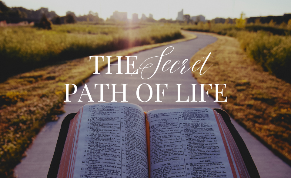 The Secret Path of Life