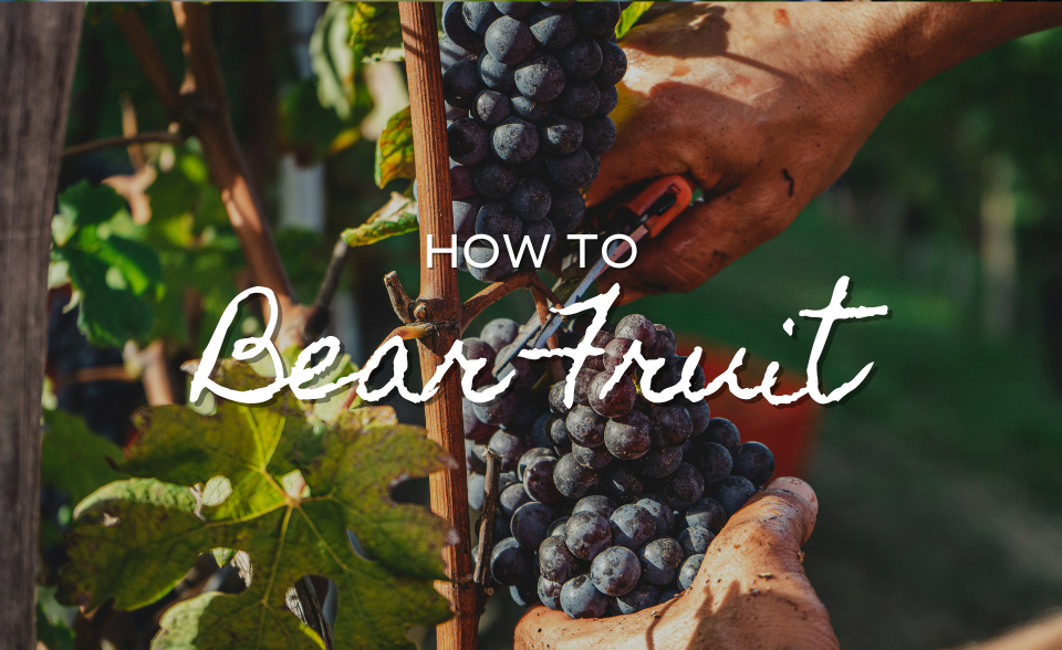 How to Bear Fruit