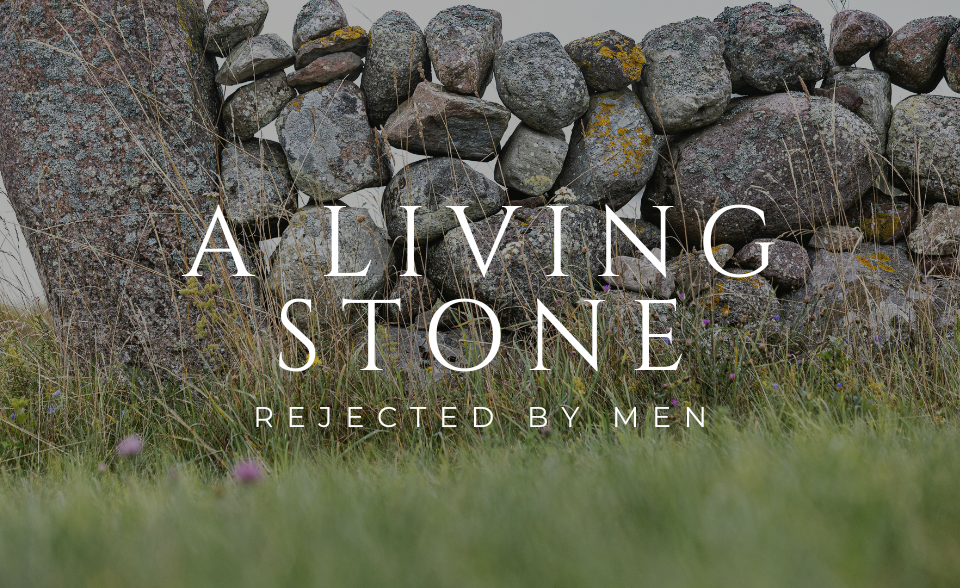 A living stone rejected by men