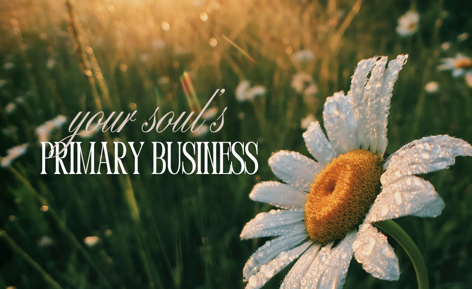 Your soul's primary business