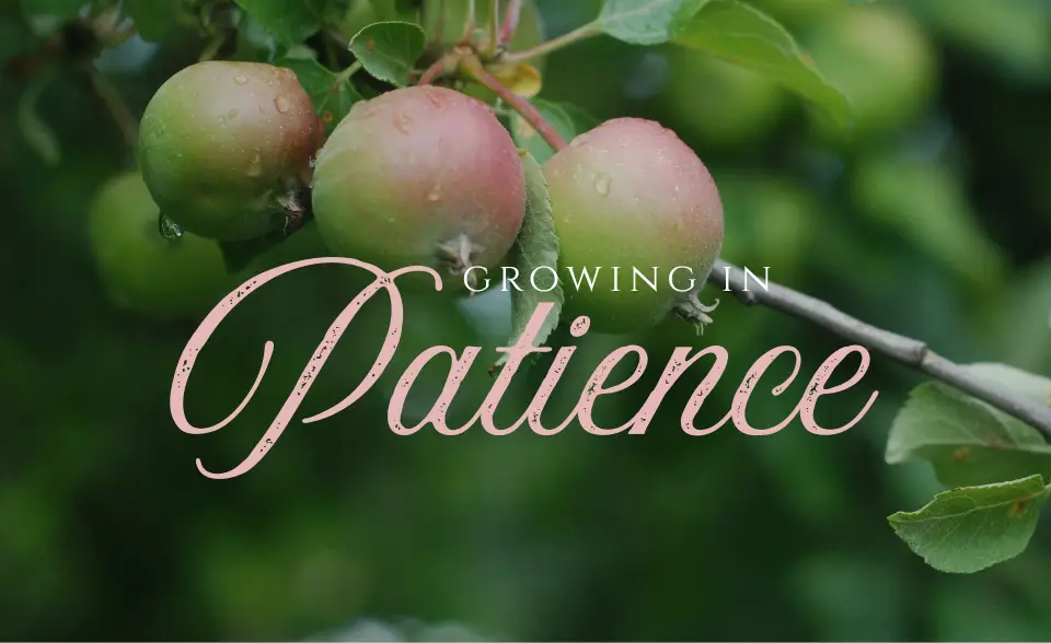 Growing in Patience