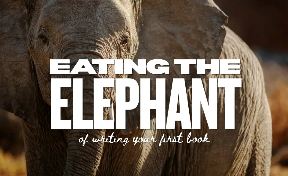 eating the elephant of writing your first book
