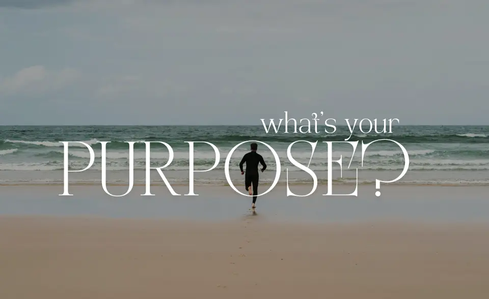 What's your purpose