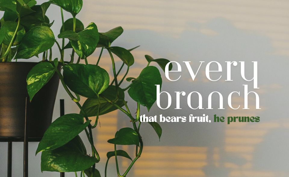 every branch that bears fruit, he prunes